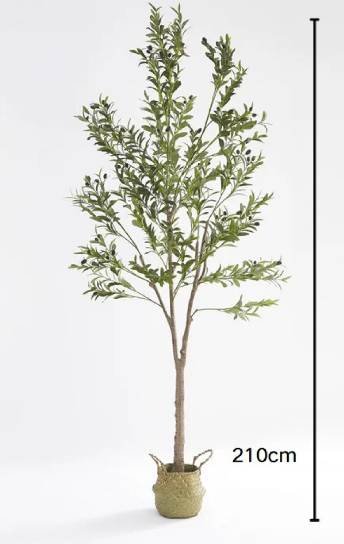 PLANTE ARTIFICIELLE OLIVIER
