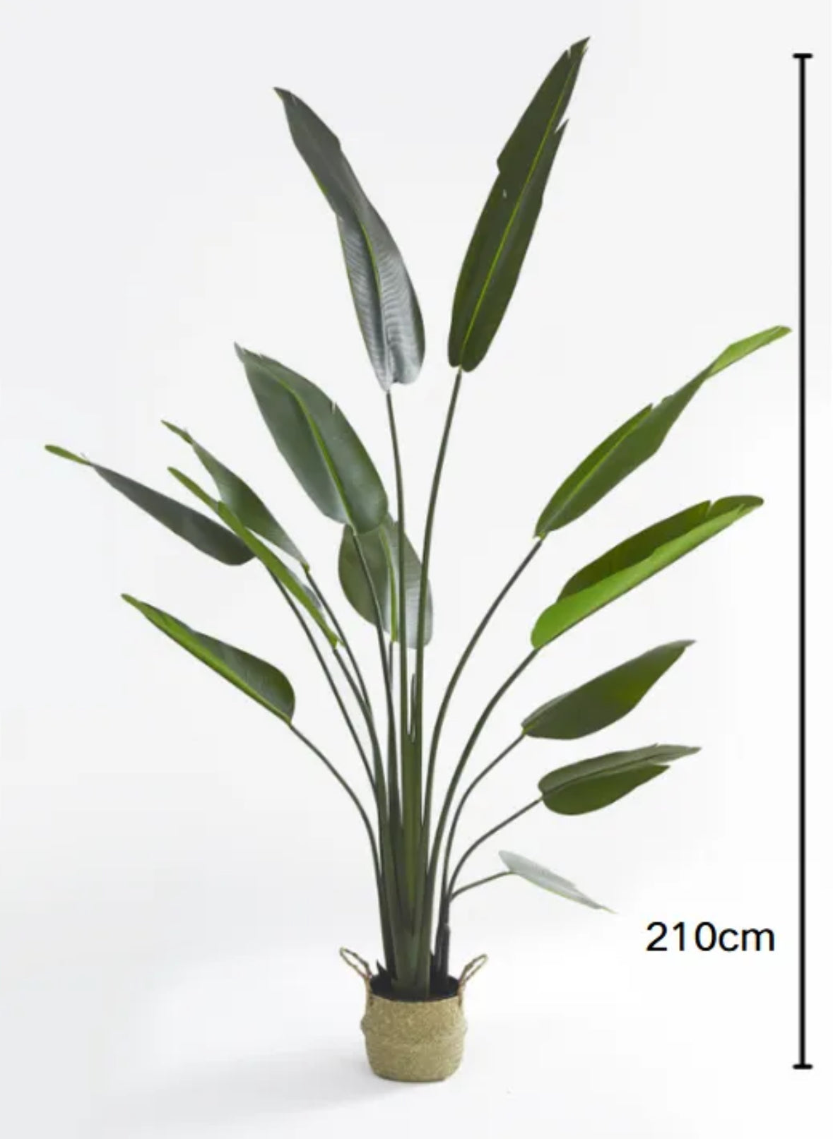 PLANTE ARTIFICIELLE STRELITZIA OISEAU DE PARADIS